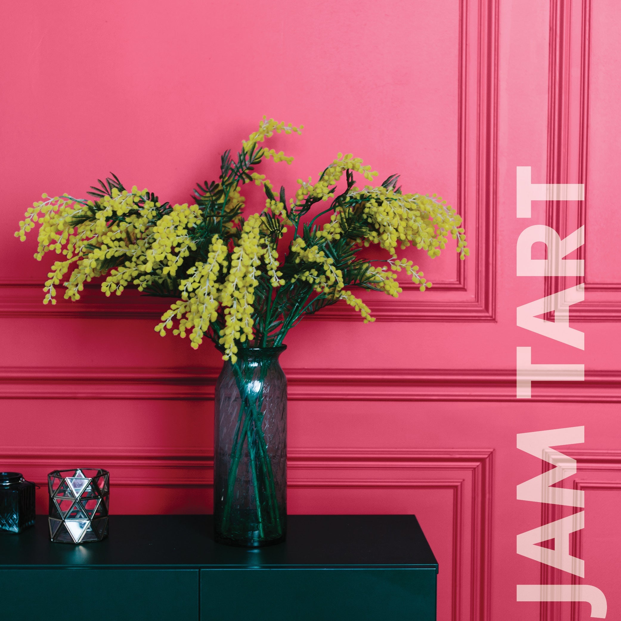 Curator Jam Tart lifestyle photo