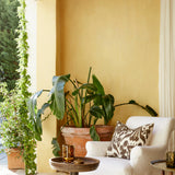 Little Greene Light Gold™