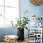 Curator Lilting Song lifestyle photo