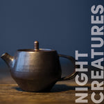 Curator Night Creatures lifestyle photo