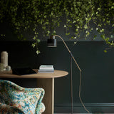 Little Greene Obsidian Green™