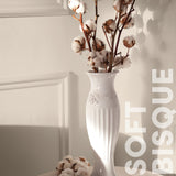 Curator Soft Bisque lifestyle photo