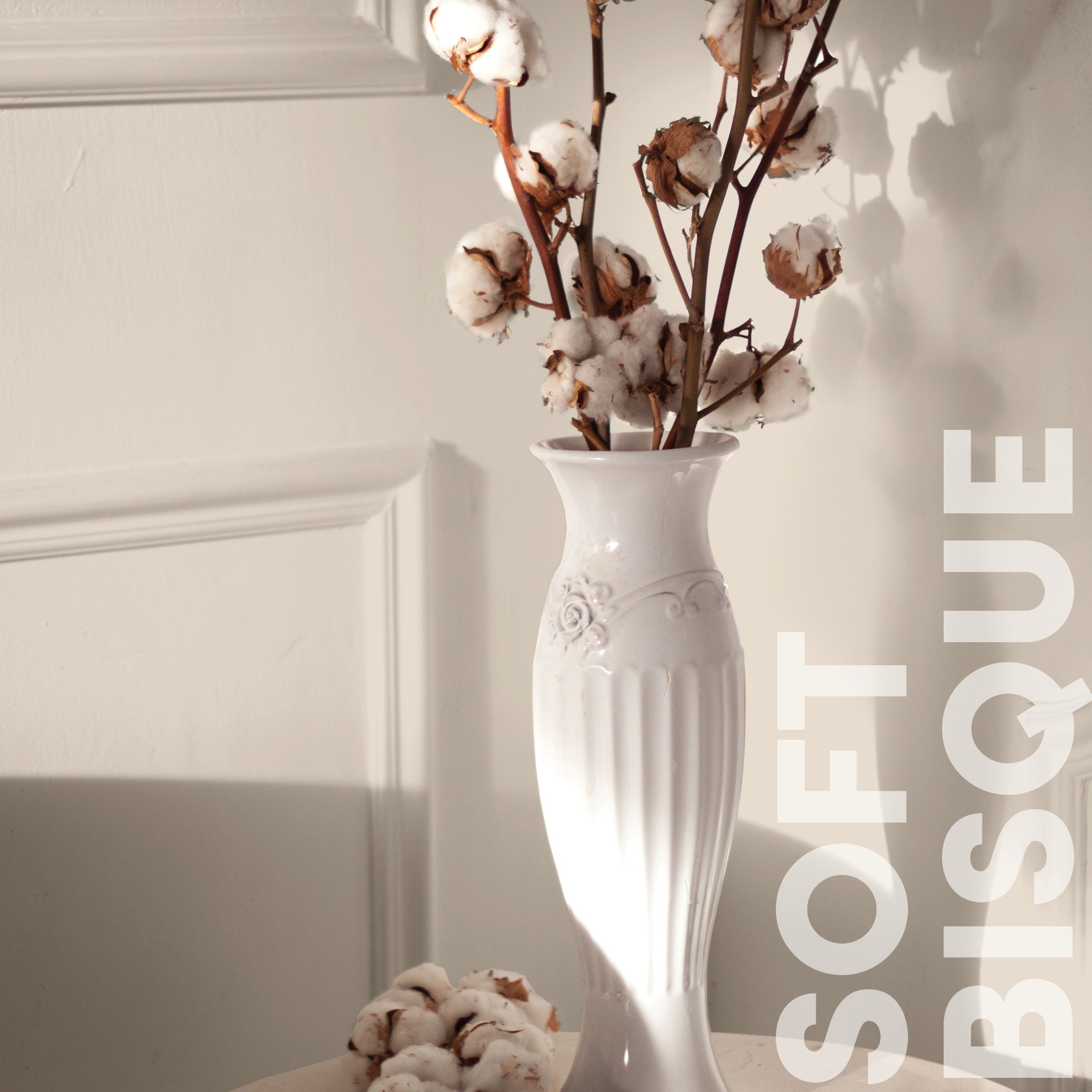 Curator Soft Bisque lifestyle photo