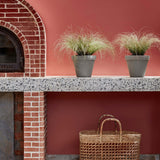 Little Greene Tuscan Red™