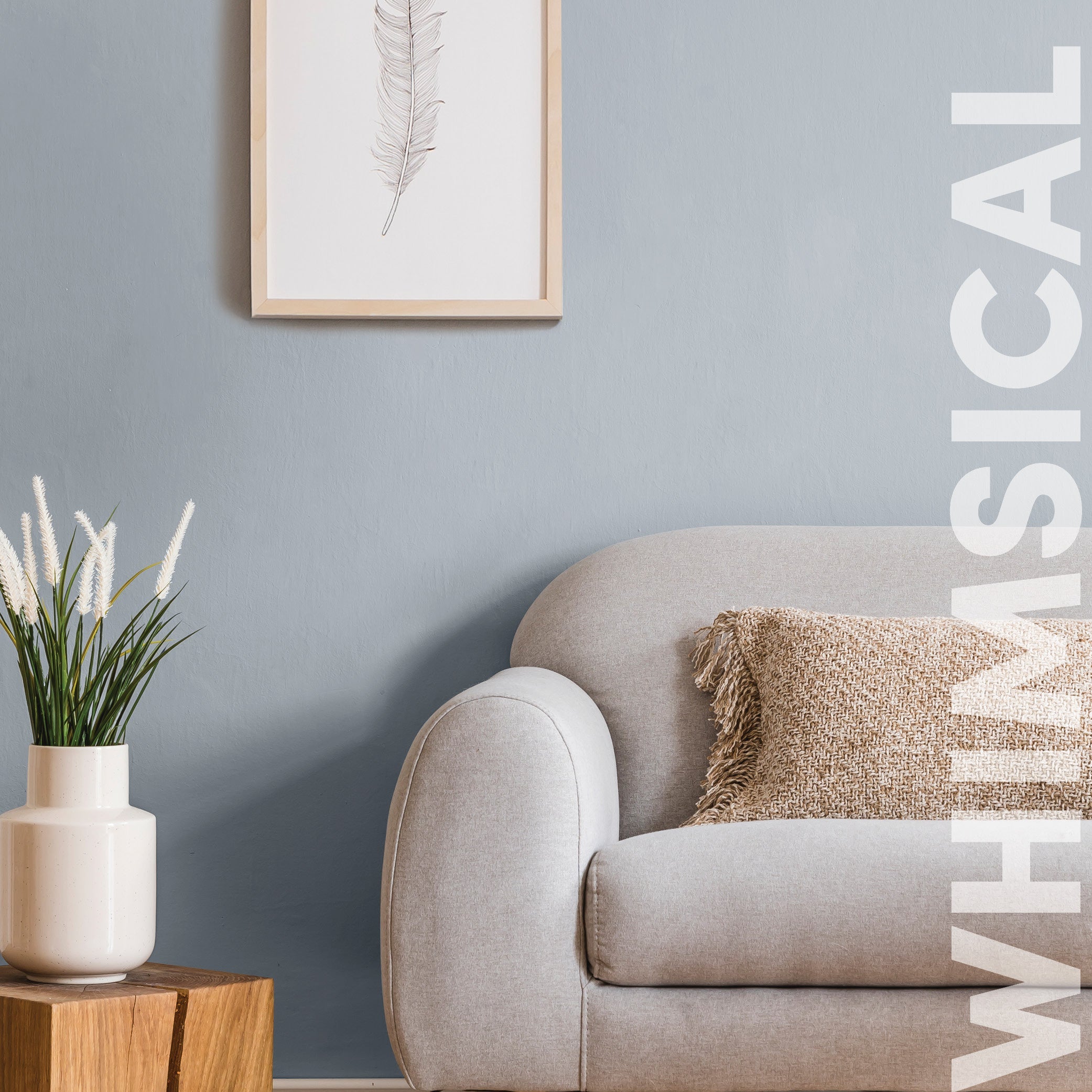 Curator Whimsical lifestyle photo