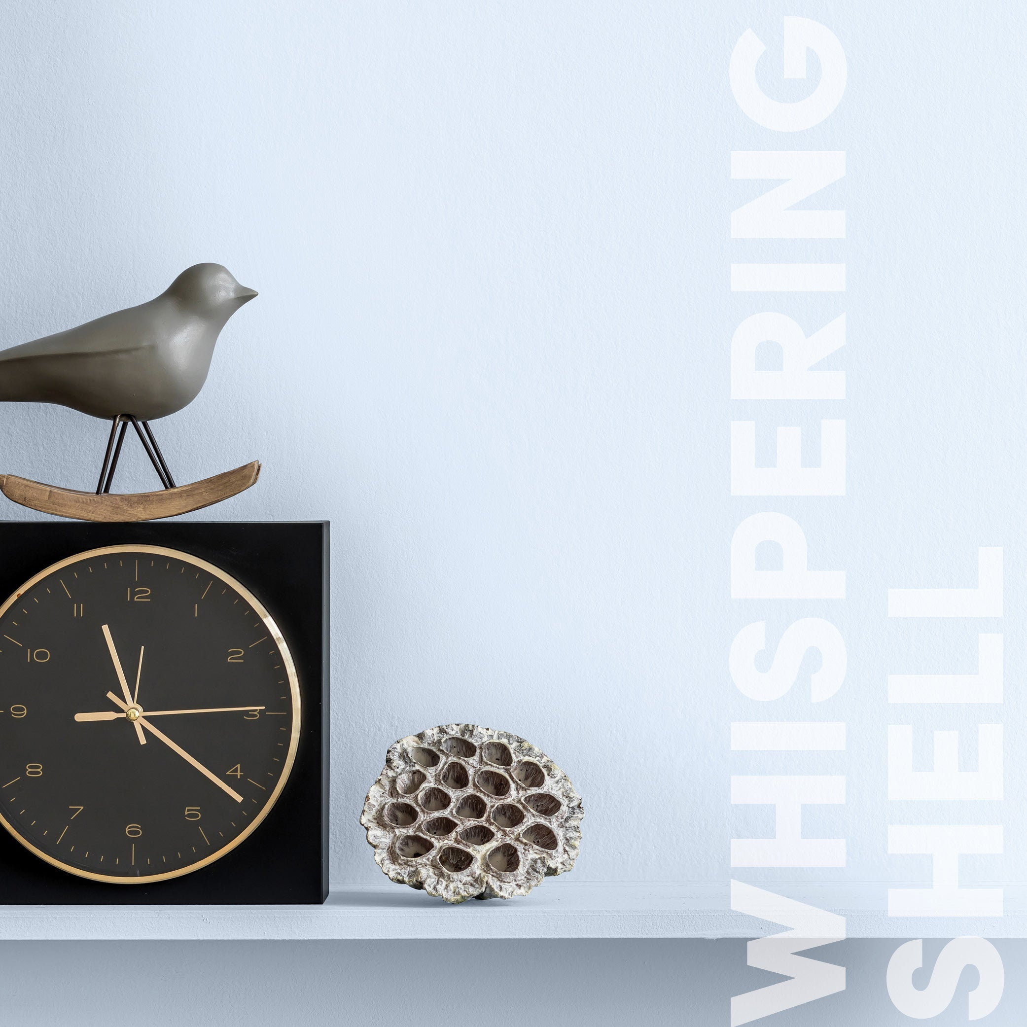 Curator Whispering Shell lifestyle photo