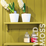 Curator Wild Moss lifestyle photo