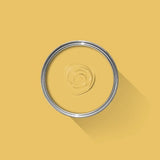 Farrow & Ball Babouche No. 223 100ml Sample Pot