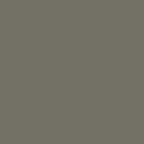 Burrowing paint swatch