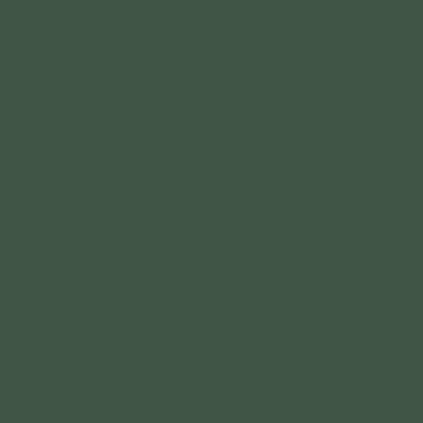 Christmas Wreath paint swatch
