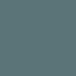 Source paint swatch