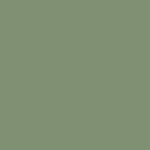 Woodland Willow paint swatch