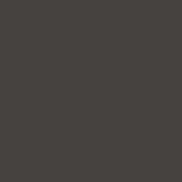 Ancient Black paint swatch