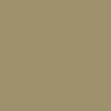 Marsh Ground paint swatch