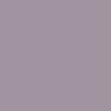Rarity paint swatch
