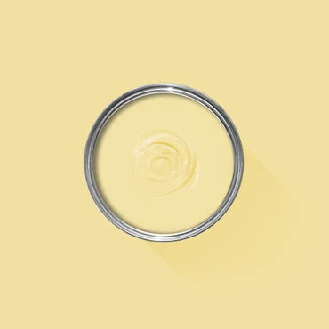 Farrow & Ball Dayroom Yellow No. 233 100ml Sample Pot