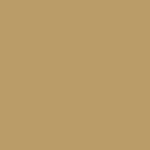Duster paint swatch