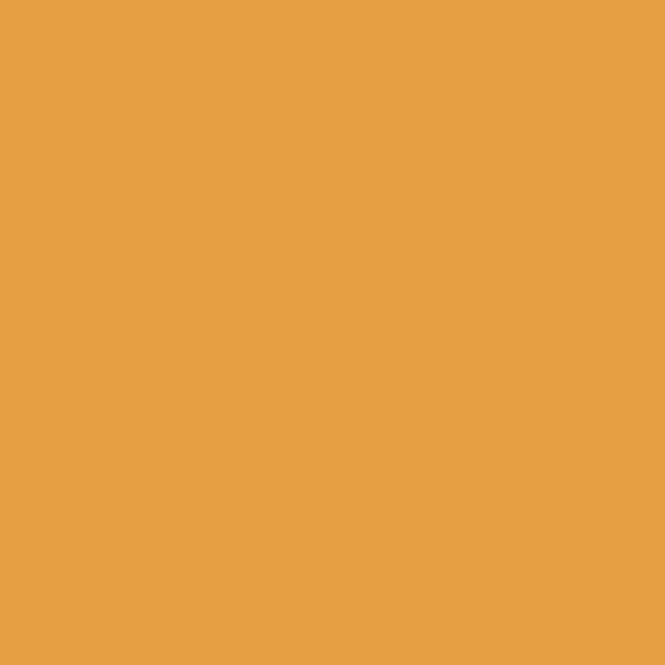 Dutch Orange paint swatch