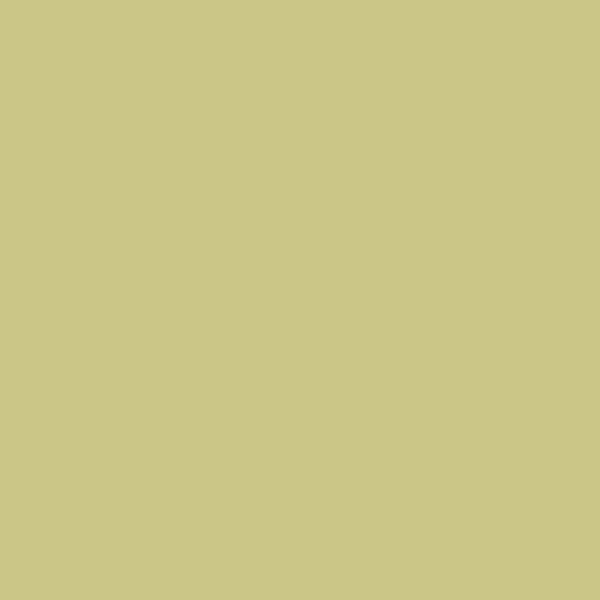 Apple™ paint swatch