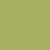 Boxington™ paint swatch