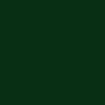 Dark Brunswick Green™ paint swatch