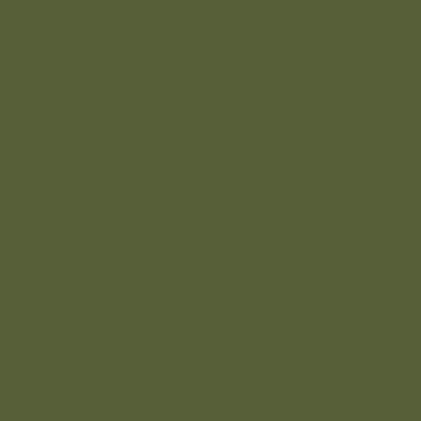 Jewel Beetle™ paint swatch