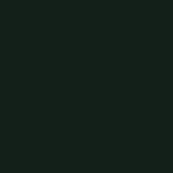 Obsidian Green™ paint swatch