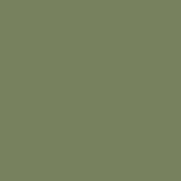 Sage Green™ paint swatch