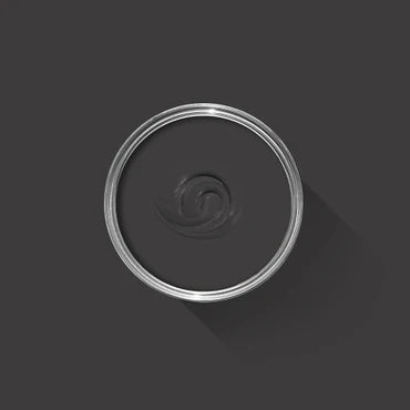 Farrow & Ball Pitch Black No. 256 Sample Pot