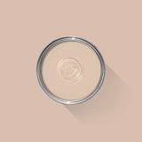 Farrow & Ball Setting Plaster No. 231 100ml Sample Pot