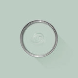 Farrow & Ball Teresa's Green No. 236 100ml Sample Pot
