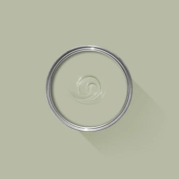 Farrow & Ball Vert de Terre No. 234 100ml Sample Pot