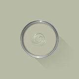 Farrow & Ball Vert de Terre No. 234 100ml Sample Pot