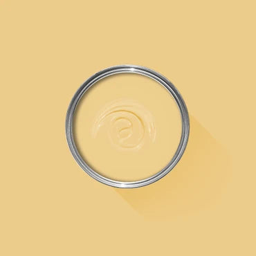 Farrow & Ball Yellow Ground No. 218 100ml Sample Pot